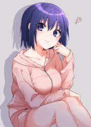 Rule 34 | 1girl, blue eyes, blue hair, blush, breasts, ciel (tsukihime), closed mouth, collarbone, commentary request, full-length zipper, grey background, hair between eyes, highres, hood, hood down, hooded sweater, long sleeves, looking at viewer, medium breasts, pink sweater, shadow, short hair, sitting, solo, sweater, tanka kikurage, thighs, tsukihime, tsukihime (remake), zipper