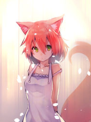 Rule 34 | 1girl, animal ears, arms behind back, bare shoulders, breasts, closed mouth, collarbone, dot nose, dress, fox ears, fox girl, fox tail, green eyes, hair between eyes, looking at viewer, orange hair, original, short hair, sleeveless, sleeveless dress, small breasts, solo, tail, upper body, white dress, yuuji (yukimimi)