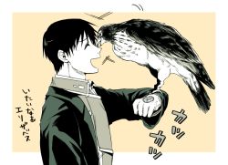 Rule 34 | 1boy, :d, ^ ^, amestris military uniform, animal, animal on arm, arm up, bad id, bad twitter id, beige background, bird, bird on arm, black coat, black hair, border, close-up, closed eyes, coat, collared jacket, face-to-face, from side, fullmetal alchemist, furrowed brow, gloves, hawk, jacket, maico (pmicimp), male focus, military, military uniform, motion lines, open clothes, open jacket, open mouth, profile, roy mustang, simple background, smile, translation request, uniform, upper body, white border, white gloves