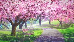 Rule 34 | bench, cherry blossoms, commentary, day, english commentary, grass, highres, lamppost, nature, no humans, original, park, path, petals, plant, rkmlady, road, scenery, shade, tree