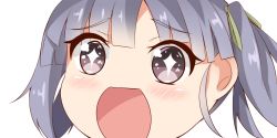 Rule 34 | + +, 10s, 1girl, close-up, grey eyes, kantai collection, looking at viewer, nahaki, no nose, ooshio (kancolle), open mouth, portrait, purple hair, short hair, short twintails, simple background, sin-poi, solo, sparkling eyes, symbol-shaped pupils, twintails, white background