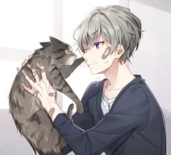Rule 34 | 1boy, animal, bandaid, bandaid on face, bandaid on hand, black jacket, brown eyes, cat, clenched teeth, commentary request, eye contact, grey hair, hair between eyes, hands up, highres, holding, holding animal, jacket, long sleeves, looking at another, male focus, nekozuki yuki, one eye closed, original, purple eyes, scratches, shirt, signature, solo, teeth, upper body, white shirt