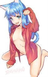 Rule 34 | 1girl, :d, animal ears, artist name, bare legs, blue hair, blush, breasts, buttons, cat ears, cat girl, cat tail, collarbone, collared shirt, dress shirt, fang, green eyes, long hair, looking at viewer, medium breasts, naked shirt, navel, open clothes, open mouth, open shirt, original, paw pose, rabbit, red shirt, shimako (mehr), shirt, signature, simple background, sleeves past wrists, smile, solo, straight hair, tail, white background, wing collar