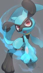 Rule 34 | artist name, creatures (company), game freak, gen 4 pokemon, grey background, highres, looking at viewer, nintendo, no humans, nullma, open mouth, pokemon, pokemon (creature), riolu, signature, simple background, solo, watermark
