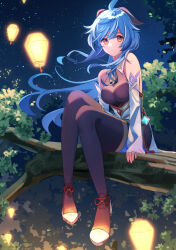 Rule 34 | 1girl, absurdres, ahoge, bare shoulders, bell, black pantyhose, blue hair, blush, breasts, chinese knot, detached sleeves, flower knot, full body, ganyu (genshin impact), genshin impact, gold trim, high heels, highres, horns, in tree, lantern, long hair, looking at viewer, medium breasts, mxsoundtube, neck bell, night, no gloves, outdoors, pantyhose, paper lantern, purple eyes, sidelocks, sitting, sitting in tree, smile, solo, tassel, thighlet, thighs, tree, vision (genshin impact), white sleeves