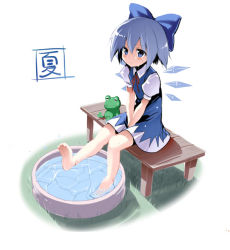 Rule 34 | 1girl, barefoot, basin, blue eyes, blue hair, blush, bow, cirno, dress, feet, frog, full body, hair bow, hot, matching hair/eyes, pikazo, simple background, sitting, soaking feet, solo, summer, sweat, touhou, v arms, water, wings