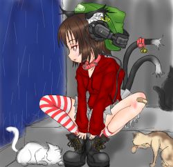 Rule 34 | 1girl, alternate costume, animal ears, ankle boots, asymmetrical legwear, bandaid, bandaid on knee, bandaid on leg, bell, black footwear, boots, brown hair, casual, cat, cat ears, cat tail, chen, contemporary, cross-laced footwear, dog, earrings, female focus, hat, headphones, hood, hood down, hoodie, jewelry, jingle bell, lace-up boots, long sleeves, multiple tails, nekomata, pleated skirt, profile, rain, short hair, sitting, skirt, socks, solo, striped clothes, striped socks, striped thighhighs, tail, tail bell, tail ornament, thighhighs, touhou, two tails, uneven legwear