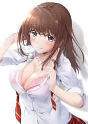 Rule 34 | 1girl, absurdres, blush, bra, breasts, brown hair, cleavage, closed mouth, collarbone, collared shirt, green eyes, hand in own hair, hazuki gyokuto, highres, large breasts, long hair, looking at viewer, open clothes, open shirt, original, pink bra, pleated skirt, red skirt, school uniform, shadow, shirt, sidelocks, simple background, skirt, sleeves rolled up, smile, solo, underwear, upper body, white background, white shirt