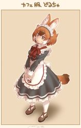 Rule 34 | 1girl, alternate costume, animal ears, apron, black dress, bow, bowtie, brown footwear, collar, commentary request, dhole (kemono friends), dog ears, dog girl, dog tail, dress, enmaided, extra ears, frilled apron, frilled collar, frilled cuffs, frilled dress, frills, from above, full body, highres, japari symbol, kemono friends, kemono friends 3, light brown hair, loafers, long sleeves, looking at viewer, maid, maid apron, maid headdress, multicolored hair, nyororiso (muyaa), pantyhose, red bow, red bowtie, shoes, short hair, solo, tail, translation request, white frills, white hair, white pantyhose, yellow eyes