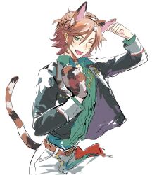 Rule 34 | 1boy, animal ears, animal hands, arm up, bishounen, black jacket, brown hair, calico, cat boy, cat ears, cat tail, collar, collared shirt, commentary request, ensemble stars!, fake animal ears, gloves, green eyes, green shirt, hand up, highres, jacket, jiz (pffbq), long sleeves, looking at viewer, male focus, mam (ensemble stars!), mikejima madara, one eye closed, open clothes, open jacket, open mouth, paw gloves, red collar, shirt, short hair, simple background, single glove, solo, tail, upper body, white background