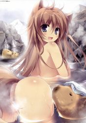 Rule 34 | 1girl, :3, absurdres, animal ears, ass, blue eyes, blush, brown hair, capybara, censored, convenient censoring, highres, karory, looking at viewer, looking back, nude, original, partially submerged, smile, solo, steam, steam censor, tail, water