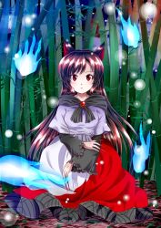 Rule 34 | 1girl, animal ears, bamboo, bamboo forest, brooch, brown hair, dress, fingernails, forest, ghost, highres, hitodama, imaizumi kagerou, jewelry, long fingernails, long hair, long sleeves, myo-gateien, myouga teien, nature, red eyes, sitting, solo, touhou, very long hair, wide sleeves, wolf ears