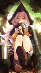 Rule 34 | 1girl, azur lane, black headwear, brown footwear, cape, flute, forest, from below, green cape, grey hair, hands up, hat feather, hat ornament, highres, holding, holding flute, holding instrument, instrument, leaf, long hair, long sleeves, looking at viewer, mole, mole under eye, music, nature, official alternate costume, outdoors, playing flute, playing instrument, roli7946, sitting, solo, tree, white hair, yellow eyes, z46 (azur lane), z46 (the bard of hamelin) (azur lane)