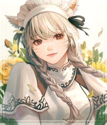 Rule 34 | 1girl, animal ears, black ribbon, braid, cat ears, closed mouth, facial mark, final fantasy, final fantasy xiv, floating hair, flower, framed, hair ribbon, highres, long hair, looking at viewer, low twintails, maid headdress, miqo&#039;te, mole, mole under eye, petals, red eyes, ribbon, short sleeves, silver hair, solo, twin braids, twintails, warrior of light (ff14), white background, yellow flower, yuzu hiko (ruffle-ponzu)