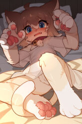 Rule 34 | ahoge, animal ears, animal hands, animal nose, bare legs, bell, blue eyes, blush, brown hair, cat ears, cat tail, collar, fangs, full body, furry, furry male, hair between eyes, hands up, highres, jingle bell, kotoba (1074421015), legs, legs apart, looking at viewer, lying, multicolored hair, neck bell, off shoulder, on back, on bed, open mouth, pawpads, pillow, see-through, see-through shirt, shade, shirt, short eyebrows, short sleeves, snout, tail, tail around own leg, tearing up, two-tone hair, white shirt