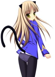 Rule 34 | 1girl, animal ears, ass, blonde hair, cat ears, cat tail, looking back, military, military uniform, mizutsuki, no eyewear, panties, panties under pantyhose, pantyhose, perrine h. clostermann, solo, strike witches, tail, underwear, uniform, world witches series, yellow eyes