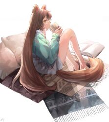 Rule 34 | 1girl, aji (eatfishfly), animal ears, blank page, book, brown hair, carpet, cross-laced clothes, cup, dog ears, highres, holding, holding cup, inui toko, legs, long hair, long sleeves, looking at viewer, mug, nijisanji, open book, pillow, sandals, sidelocks, simple background, sitting, solo, tail, very long hair, virtual youtuber, white background, yellow eyes