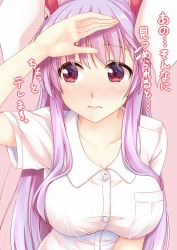 Rule 34 | 1girl, animal ears, blush, breasts, buttons, hair ornament, hairclip, hand up, hisae (hisae collect), large breasts, leaning forward, looking away, pink background, pink hair, rabbit ears, red eyes, reisen udongein inaba, shirt, short sleeves, simple background, solo, touhou, upper body, white shirt, wing collar