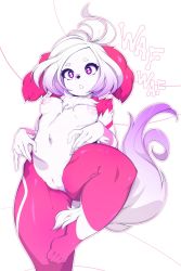 Rule 34 | 1girl, animal ears, antenna hair, body fur, borrowed character, breasts, cleft of venus, colored skin, commentary, dog ears, dog tail, fat mons, furry, furry female, gradient hair, highres, medium breasts, multicolored hair, navel, neck fur, nipples, nude, original, purple eyes, purple hair, pussy, short hair, simple background, slugbox, solo, standing, standing on one leg, symbol-shaped pupils, tail, uncensored, white background, white hair, white skin