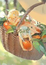 Rule 34 | 2girls, absurdres, basket, blonde hair, chi chi3939, completely nude, eating, food, fruit, head wreath, highres, holding, holding basket, leaf, lying, mini person, minigirl, multiple girls, nude, original, pointy ears, sitting