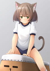 Rule 34 | 1girl, animal ears, arm support, blue buruma, brown hair, buruma, cat ears, cat girl, cat tail, closed mouth, commentary request, feet out of frame, green eyes, grey background, gym uniform, highres, original, puffy short sleeves, puffy sleeves, shibacha, shirt, short sleeves, simple background, sitting, socks, solo, straddling, tail, vaulting horse, wavy mouth, white shirt, white socks