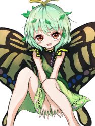 Rule 34 | 1girl, antennae, aqua hair, blush, butterfly wings, dress, eternity larva, fairy, feet out of frame, green dress, highres, insect wings, kayon (touzoku), leaf, leaf on head, looking at viewer, multicolored clothes, multicolored dress, one-hour drawing challenge, open mouth, orange eyes, short hair, short sleeves, simple background, smile, solo, touhou, white background, wings
