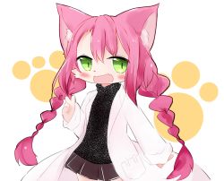 Rule 34 | 1girl, animal ears, artist request, cat busters, cat ears, female focus, furry, furry female, green eyes, long hair, neko hakase (cat busters), no humans, pink hair, solo, tail