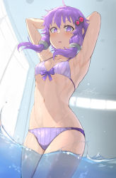 Rule 34 | 1girl, absurdres, arm behind head, bikini, bow, bow bra, bra, breasts, collarbone, commentary request, cowboy shot, from below, hair ornament, highres, in water, indoors, looking at viewer, metalfrog, partially submerged, purple eyes, purple hair, short hair with long locks, small breasts, soaking feet, solo, striped bikini, striped clothes, swimsuit, underwear, voiceroid, wading, water, yuzuki yukari