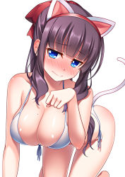Rule 34 | 10s, 1girl, alternate costume, animal ears, bare arms, bare shoulders, blue eyes, blush, breasts, cat ears, cat tail, cleavage, embarrassed, eyebrows, fake animal ears, fake tail, large breasts, long hair, mole, mole on breast, new game!, pochadon, simple background, solo, tail, takimoto hifumi, white background