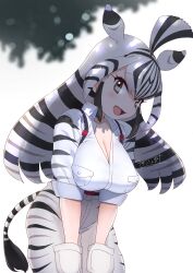 Rule 34 | 1girl, absurdres, animal ears, animal print, black hair, blush, breasts, chapman&#039;s zebra (kemono friends), cleavage, extra ears, highres, kemono friends, kemono friends 3, large breasts, long hair, long sleeves, looking at viewer, masuyama ryou, multicolored hair, open mouth, shirt, shorts, smile, solo, striped hair, tail, two-tone hair, white hair, zebra ears, zebra girl, zebra print, zebra tail