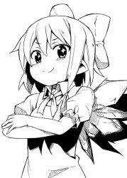 Rule 34 | 1girl, bow, cirno, crossed arms, dress, greyscale, hair bow, kannazuki hato, looking at viewer, looking down, monochrome, pointy ears, short hair, simple background, smile, solo, sparkle, touhou, wings