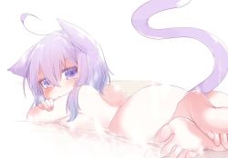 Rule 34 | 1girl, ahoge, animal ears, ass, bare shoulders, barefoot, blue eyes, blue hair, blush, breasts, cat ears, cat girl, cat tail, completely nude, crossed bangs, hair between eyes, hololive, looking at viewer, looking back, lying, mafuri, medium breasts, medium hair, nekomata okayu, nude, on stomach, parted lips, partially submerged, sideboob, sidelocks, solo, tail, virtual youtuber, water, white background