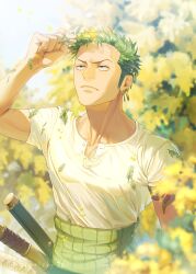 Rule 34 | 1boy, absurdres, blurry, blurry background, closed mouth, depth of field, earrings, flower, green hair, highres, holding, holding plant, jewelry, light frown, looking up, male focus, one piece, plant, poipoisky72, roronoa zoro, shirt, short sleeves, solo, spring (season), sword, weapon, white shirt, yellow flower