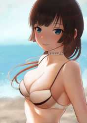 Rule 34 | 1girl, aqua eyes, beach, bikini, black hair, blurry, breasts, choker, cleavage, closed mouth, commentary request, day, deep skin, depth of field, earrings, hair ornament, hairclip, highres, jewelry, kannko bokujou, light smile, long hair, looking at viewer, medium breasts, original, shore, skindentation, smile, solo, swimsuit, upper body