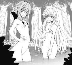 Rule 34 | 2girls, blush, bow, breasts, covering privates, covering breasts, covering crotch, elf, goblin slayer!, greyscale, hair between eyes, hair bow, hair censor, hako roku, high elf archer (goblin slayer!), long hair, looking at viewer, monochrome, multiple girls, no pussy, nude, open mouth, pointy ears, ponytail, priestess (goblin slayer!), small breasts, sweat, tree, wading