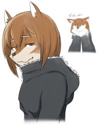 Rule 34 | 10s, artist request, brown eyes, brown hair, dog, flying witch, furry, inukai (flying witch)
