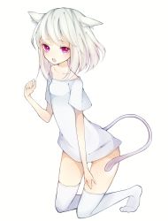 Rule 34 | 1girl, animal ears, highres, kneeling, no shoes, original, purple eyes, simple background, solo, tail, thighhighs, toma tokage, white hair