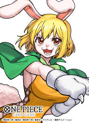 Rule 34 | 1girl, animal hands, blonde hair, breasts, brown eyes, capelet, carrot (one piece), commentary request, cross-laced clothes, cross-laced dress, dress, furry, furry female, gloves, green capelet, highres, large breasts, looking at viewer, official art, one piece, one piece card game, orange dress, paw gloves, rabbit girl, short hair, sideless dress, simple background, solo, sunohara (encount), translation request, upper body, white background
