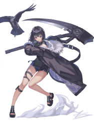 Rule 34 | 1girl, absurdres, animal, arknights, bird, black bird, black coat, black footwear, black hair, black shorts, blue eyes, coat, fur-trimmed coat, fur trim, highres, holding, holding weapon, hood, hood down, la pluma (arknights), leg strap, long sleeves, looking at viewer, medium hair, obsession, open clothes, open coat, sandals, scythe, shorts, smile, standing, standing on one leg, thigh strap, toeless footwear, toenails, weapon, white background