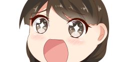 Rule 34 | + +, 10s, 1girl, braid, brown eyes, brown hair, close-up, kantai collection, long hair, looking at viewer, nahaki, no nose, open mouth, portrait, simple background, sin-poi, solo, sparkling eyes, symbol-shaped pupils, uranami (kancolle), white background