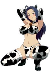 Rule 34 | 1girl, ahoge, animal ears, animal print, armpits, arms up, bandeau, bell, bikini, blue hair, blush, breasts, cleavage, collar, cow ears, cow print, dowao, elbow gloves, gloves, high collar, highleg, highleg bikini, highleg swimsuit, idolmaster, idolmaster (classic), large breasts, long hair, miura azusa, navel, neck bell, pink eyes, solo, squatting, swimsuit, thighhighs