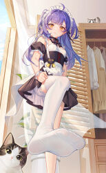 Rule 34 | 1girl, absurdres, ahoge, apron, bare shoulders, black bow, black bowtie, black dress, blue hair, blush, bow, bowtie, breasts, cat, cat ornament, closed mouth, crazy ones, day, detached sleeves, dress, feet, foot focus, foot out of frame, frilled apron, frills, from below, frown, highres, indoors, long hair, looking at viewer, maid, maid headdress, no shoes, official art, plant, potted plant, puffy short sleeves, puffy shorts, puffy sleeves, qianye zhizi, short dress, short sleeves, shorts, shorts under dress, single bare leg, single thighhigh, small breasts, solo, standing, standing on one leg, thighhighs, thighhighs pull, transparent curtains, two side up, waist apron, wardrobe, white apron, white shorts, white thighhighs, yellow eyes
