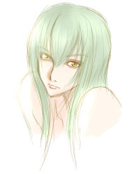 Rule 34 | 1girl, bonne chance, c.c., code geass, female focus, green hair, highres, long hair, pale color, solo, white background, yellow eyes
