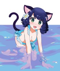 Rule 34 | 1girl, animal ears, bikini, blue hair, breasts, cat ears, cat girl, cat tail, cleavage, commentary request, curly hair, cyan (show by rock!!), drill hair, fang, green eyes, highres, leaning forward, looking at viewer, medium breasts, open mouth, ringlets, show by rock!!, showers-u, smile, solo, swimsuit, tail, underwater