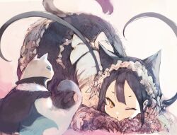 Rule 34 | 1girl, ;&lt;, animal ears, black dress, black hair, cat, cat ears, cat girl, cat tail, dress, famyu seeker, galleria no chika meikyuu to majo no ryodan, gothic coppelia, highres, kakuwashi, long hair, looking at another, slit pupils, tail, top-down bottom-up, twintails, yellow eyes