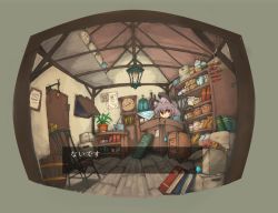 Rule 34 | 1girl, animal ears, book, box, candle, cardboard box, chair, chest of drawers, chili pepper, clock, closed mouth, commentary request, cookie (touhou), dialogue box, door, grandfather clock, grey hair, hair between eyes, indoors, lantern, looking at viewer, mikozin, mouse ears, mouse girl, mouse tail, nazrin, nyon (cookie), plant, potted plant, red eyes, shelf, short hair, solo, table, tail, touhou, translation request, upper body