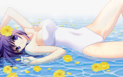 Rule 34 | 1girl, blue eyes, breasts, cleavage, flower, hair flower, hair ornament, highres, lying, medium breasts, on back, one-piece swimsuit, original, partially submerged, petals, purple hair, shallow water, solo, suzuhira hiro, swimsuit, water, wet, white one-piece swimsuit