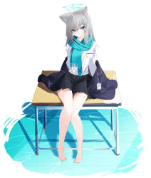 Rule 34 | 1girl, absurdres, animal ear fluff, animal ears, barefoot, blue archive, blue eyes, blue jacket, blue necktie, blue scarf, breast pocket, collared shirt, cross hair ornament, crossed bangs, desk, expressionless, full body, grey hair, hair ornament, halo, head tilt, highres, jacket, jacket partially removed, kneehighs, liu liu, looking at viewer, medium hair, mismatched pupils, necktie, on desk, pigeon-toed, plaid, plaid skirt, pocket, scarf, school desk, school uniform, shiroko (blue archive), shirt, sitting, on desk, skirt, socks, solo, striped clothes, striped scarf, water, white shirt, wolf ears