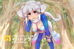 Rule 34 | 10s, 1girl, animal ears, arm support, bikini, blue thighhighs, breasts, character name, cleavage, cowboy shot, day, detached sleeves, elephant ears, grey hair, hair between eyes, hand on own cheek, hand on own face, hand on own knee, hand up, indian elephant (kemono friends), japari symbol, johnny teatime, kemono friends, leaning forward, long hair, looking at viewer, open mouth, outdoors, red eyes, scarf, skirt, smile, solo, standing, swimsuit, thighhighs