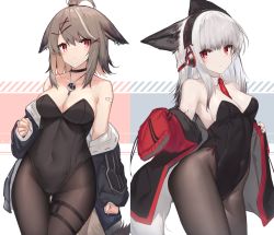 Rule 34 | absurdres, ahoge, alternate costume, animal ears, arknights, bandaid, bandaid on shoulder, bare shoulders, between breasts, black choker, black jacket, black legwear, black leotard, blush, breasts, brown legwear, choker, cleavage, collarbone, commentary, covered navel, cowboy shot, cutter (arknights), detached collar, english commentary, fox ears, frostleaf (arknights), gluteal fold, grey background, grey hair, hair ornament, hairclip, headphones, highres, huge filesize, implied extra ears, jacket, jewelry, leotard, long hair, long sleeves, looking at viewer, material growth, medium breasts, multicolored background, necklace, necktie, necktie between breasts, nontraditional playboy bunny, off shoulder, open clothes, open jacket, oripathy lesion (arknights), pantyhose, playboy bunny, red eyes, red neckwear, sleeves past fingers, sleeves past wrists, strapless, strapless leotard, thigh gap, two-tone background, white background, x hair ornament, yki
